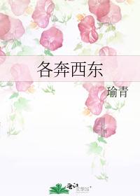 异次元战姬